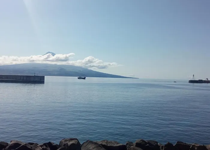 O Refugio Do Pim Horta (Azores)